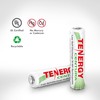 Tenergy Centura AAA NIMH Rechargeable Battery, 800mAh Low Self-Discharge Triple