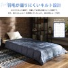 Showa Nishikawa Down Comforter Set of 2, For Spring, Summer,