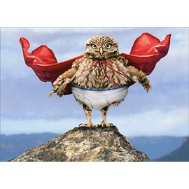 Owl Superhero with Cape Avanti Humorous/Funny Birthday Card