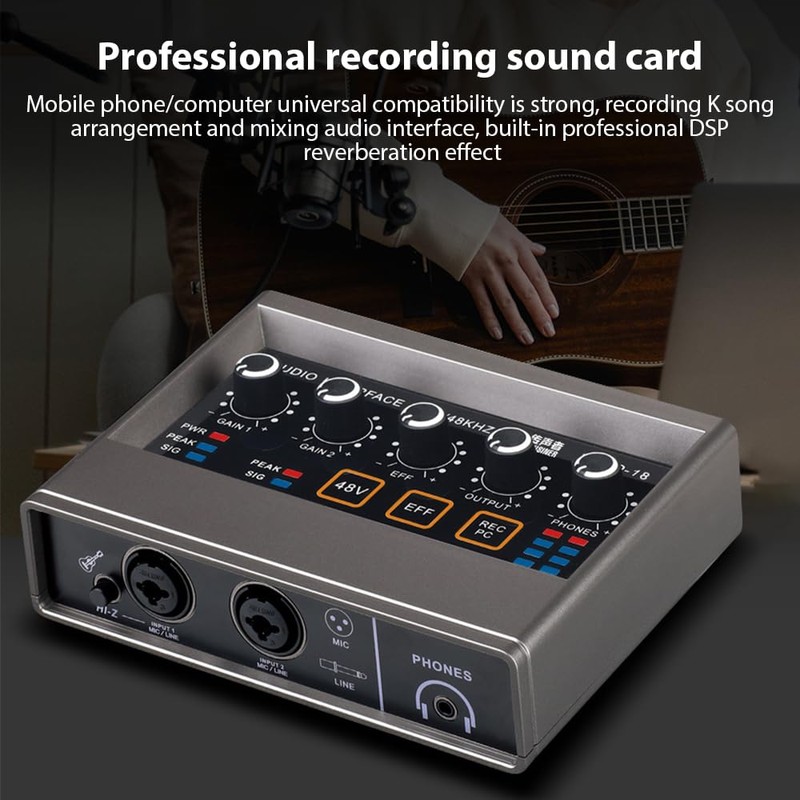 Audio Interface Recording XLR Audio Interface DSP Reverb 48V Phantom