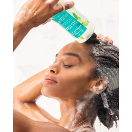 Carol’s Daughter Wash Day Delight Love at First To Foam Sulfate Free Shampoo with Aloe and Micellar Water, Paraben and Silicone Free, Micellar Shampoo for Kinky, Curly Hair, 16.9 fl oz
