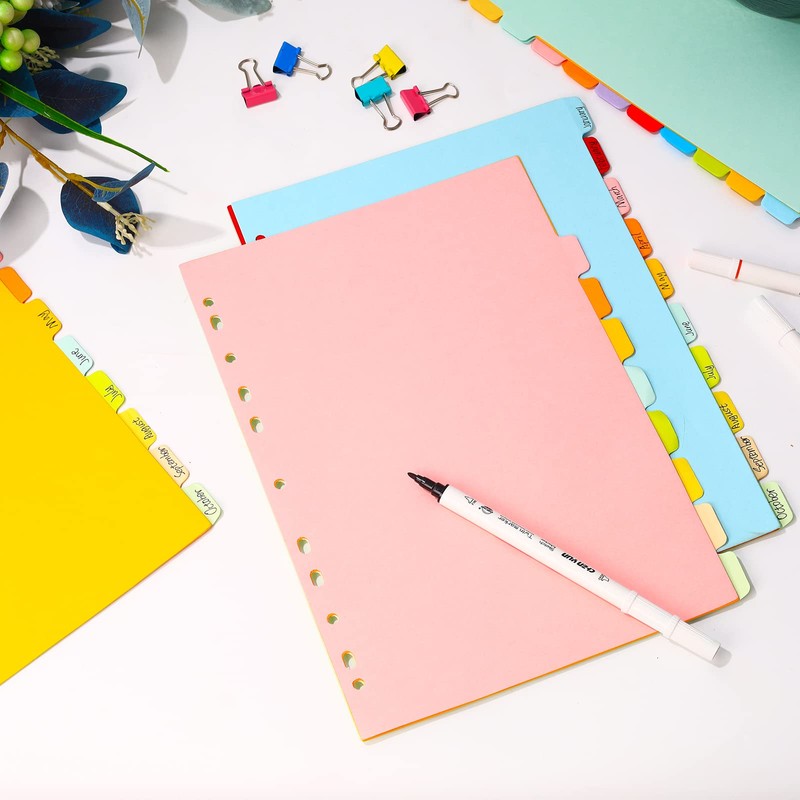 (Pack of 10) Folder Index Dividers A4 Folder Dividers 10
