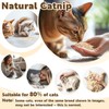 RAINFLOW 80PCS Catnip - Cat Nip for Cats Natural Dried