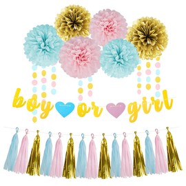 Gender Reveal Decorations Blue Pink - 23pcs Tissue Paper Flowers Pom Poms Boy Or Girl Banner Tassel Garland Streamers Baby Gender Reveal Party Supplies Gender Reveal Theme Gold Hanging Decor Ideas