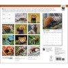 Calendar Ink, Red Pandas WWF 2025 Wall Calendar