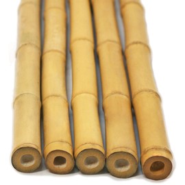Backyard X-Scapes Natural Decorative Bamboo Poles for Fences Garden Stakes 1" D x 90" L (25-Pack)