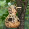 Womack Farm Birdhouse Gourd, 15 Seeds. Free Shipping, USA.
