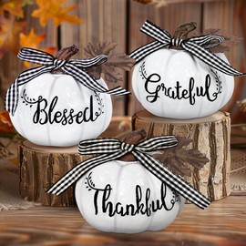 TURNMEON Fall Decorations-Set of 3 Thankful Grateful Blessed Resin Artificial Pumpkins Decor, Fall Pumpkin Centerpiece for Fall Autumn Harvest Thanksgiving Table Decorations Home Decor, White