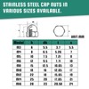 BACSHBY Pack of 5 Acorn Nuts M12 Stainless Steel A2