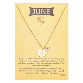 TGOLM 14k Gold Plated Birth Month Flower Birthstone Pendant Necklace, Floral Charm Necklace for Women Birthday Gift, Stainless Steel, No Gemstone