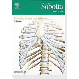 Sobotta Lernkarten Knochen, Bänder und Gelenke: Knochen, Bänder, Gelenke