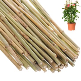 Suclain Bamboo Plant Stakes Plant Support Stakes Indoor and Outdoor Garden Sticks Garden Stakes for Tomato, Bean, Flowers, Trees Potted and Climbing Plant Support(30 Pcs,1 ft)