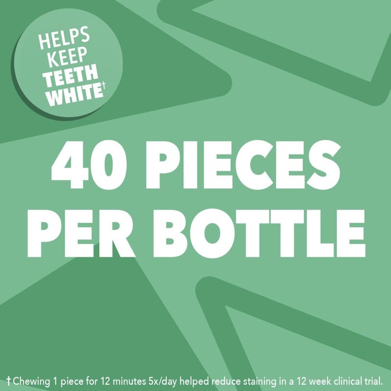 ORBIT Sweet Mint Gum, Chewing Gum Sugar-Free, 6 Packs, Bulk