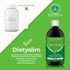 Plastimea DETOX-Kur DietySlim 100% Vegan | Natürlich Leber & Körper