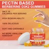 LILICARE LILICARE Berberine Supplement Gummies Sugar Free, Extra Absorption with