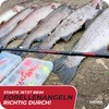 Paradox Fishing Trout Series X Roll 1000 (Trout Series X