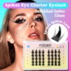 BERSHNOR Individual Manga Lashes, Spikes Eye Lashes, Doll Eye Cluster