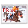 Horse Racing on Snow and in Water (Wall Calendar 2026