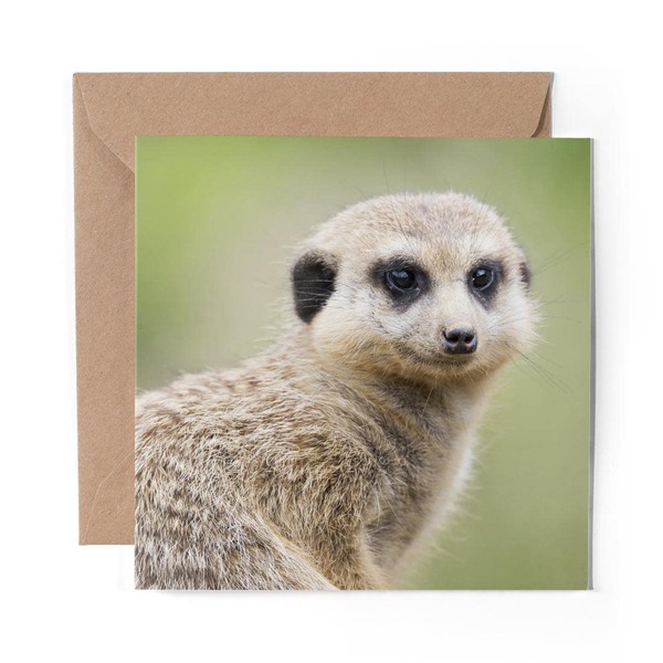 1 x Greeting Card Little Cute Meerkat Animals Mongoose -