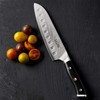 Sasaki 5228194 Masuta Japanese AUS-10 Stainless Steel Santoku Knife with