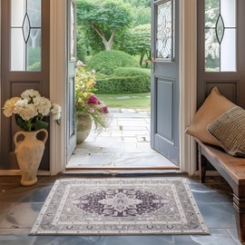 EVERGRACE Faux Wool Area Rugs 2'x 3' Boho Medallion Rugs for Living Room Indoor Outdoor Rugs for Bedroom Dining Room Entryway Kitchen Low Pile Washable Floor Mat Carpet, Taupe Gray