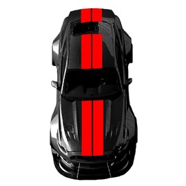 Clausen's World Double 10 Inch Center Vinyl Rally Racing Stripes, Fits Mustang and Shelby, Red…