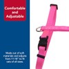 Coastal Pet Products CCP6341RED Nylon Ajustable Figura H Arnés para