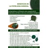 2 Bolsas De 500 Tab Spirulina Spiralshake(cacao Spirulina)