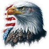 Eagle Head USA Sticker - 4 Inch