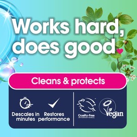 Ecozone Kettle & Iron Descaler