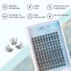 Oreola Individual Eyelashes, Pack of 120 Clusters, 3D Fake Lashes,