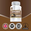 Lions Mane 2000mg (50% polyphenols)