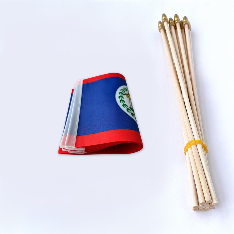 TSMD Belize Stick Flag Belizean Small Mini Hand Held Flags,5x8