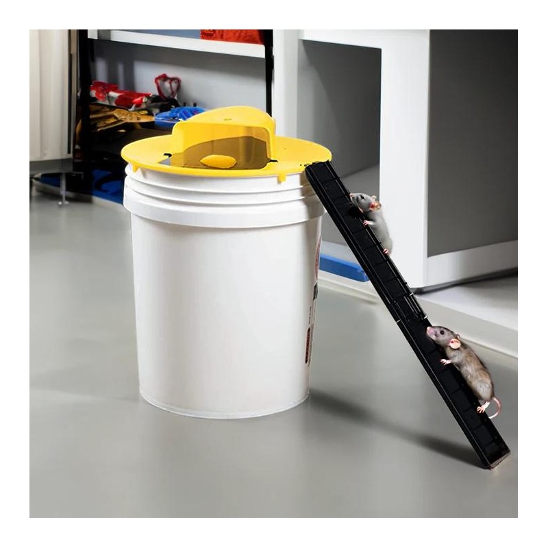 Automatic Reset Mouse Trap for Indoor & Outdoor Use –