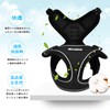 Angelpet Harness for Cats, Kittens, Puppies, Small Dogs, Walks, Outings,