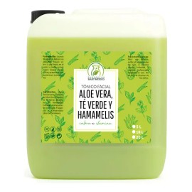 Tónico Facial De Aloe Vera, Té Verde & Hamamelis (5 Litros)