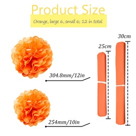 Ruidee Pack of 12 Tissue Paper Pompoms 10 in and 12 in Paper Flower Ball Decorative Paper Kit Paper Flowers Pom Poms for Weddings, Birthdays, Party Decorations (ZH/Orange)
