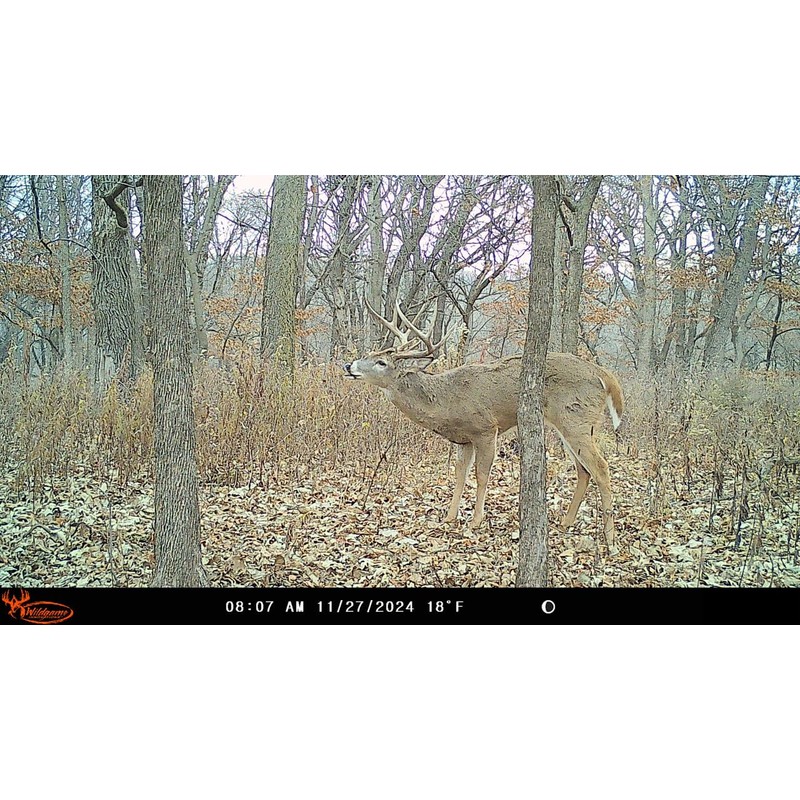 Wildgame Innovations Insite-V 2-Pack Cellular Trail Camera 32 MP, 80ft