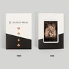Lantern Press Lion Face (52 Playing Cards, Poker Size Card