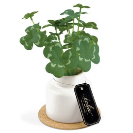 Kishima KH-61247 Artificial House Plants, Fake Green, Artificial Plants, Never Wither, Artificial Flowers, Green, Catalyst, Deodorizer, Antibacterial, Air Purifier, Clover, Small