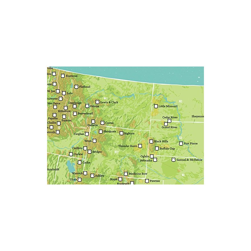 US National Forests & Grasslands Map 18x24 Poster (Green &