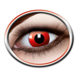 92041597 Décor Lens Red Cat