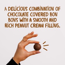 Bon o Bon Chocolate Bon Bons, Decadent Chocolate Truffles with a Creamy Peanut & Wafer Filling, 15g x 18 Bonbons