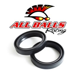 Rad Powersports Fits 2009 Honda GL1800HP Gold Wing Audio/Comfort Fork Seal Kit All Balls 55-124