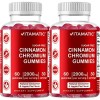 Vitamatic 2 Pack Vitamatic Sugar Free Chromium Ceylon Cinnamon -
