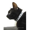 Beastie Bands Cat Collar Bubble Duck