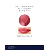 Integrate Gracy RS02 Premium Rouge Lipstick, Unscented, Playful Rose, 0.1