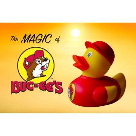 Buc-ee’s Rare, Hard To Find, Buc-ee’s Rubber Duck Collectible, Bath Toy, Jeep Duck Bucees
