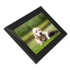 10.1inch Digital Photo Frame 1280x800 16:10 IPS Screen Remote Control