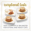 Purina Fancy Feast Gravy Lovers Variety Pack Feast Pate in